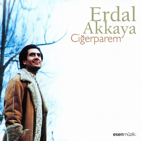 Ciğerparem